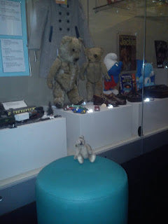I Wanted To Bring These Poor Bears Home