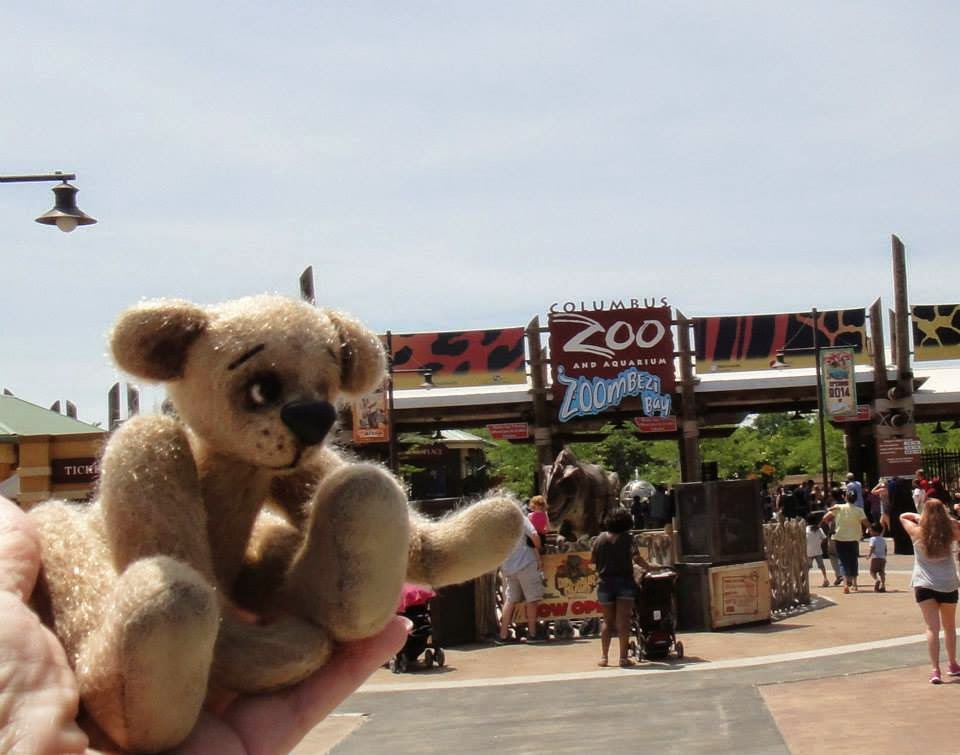Zoo time