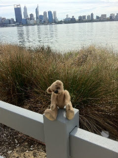 Walking around Swan River