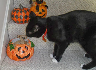 Scary time