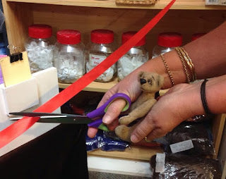 Teddy Bear Hospital