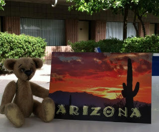 Bucket arrives in Arizona