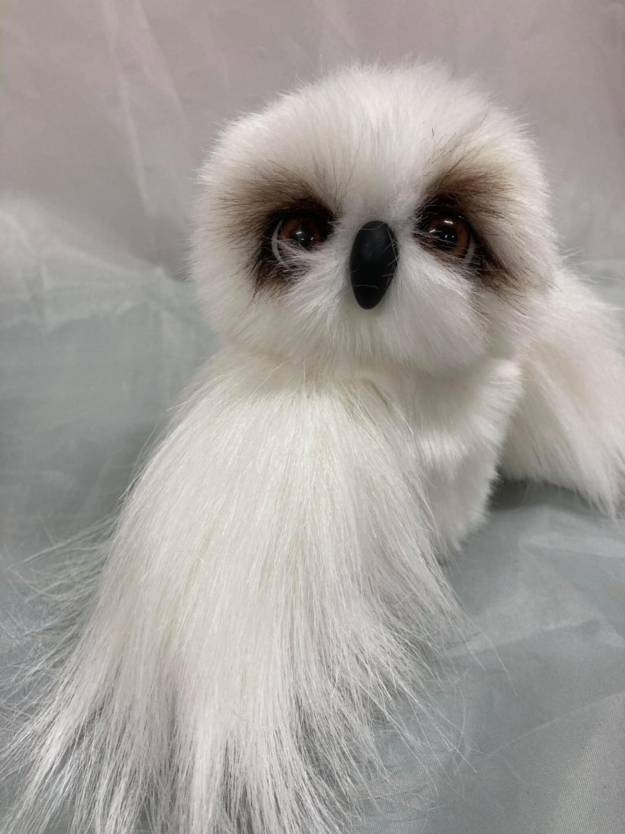 Wisdom Owl Pattern