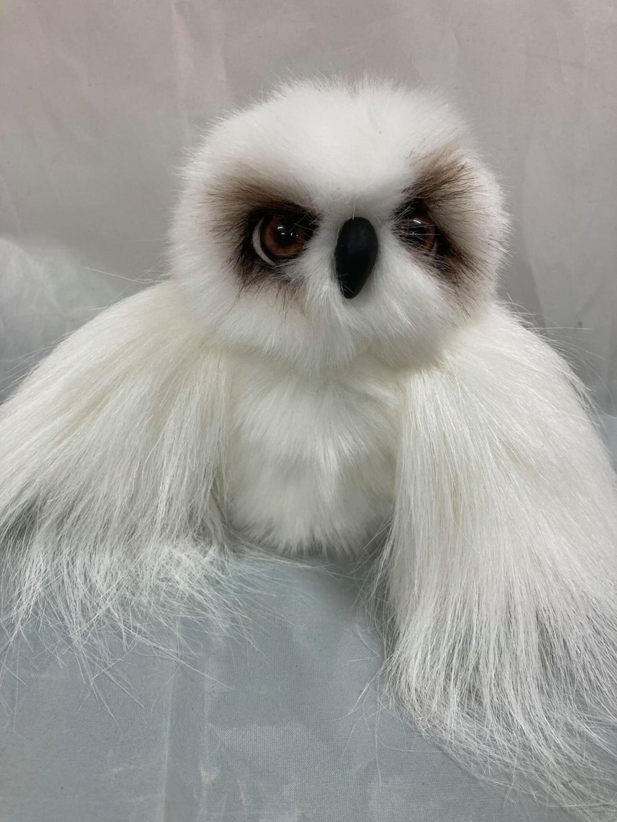 Wisdom Owl Pattern