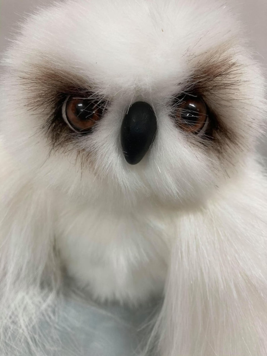 Wisdom Owl Pattern