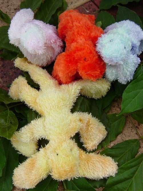 Squirookle Pattern