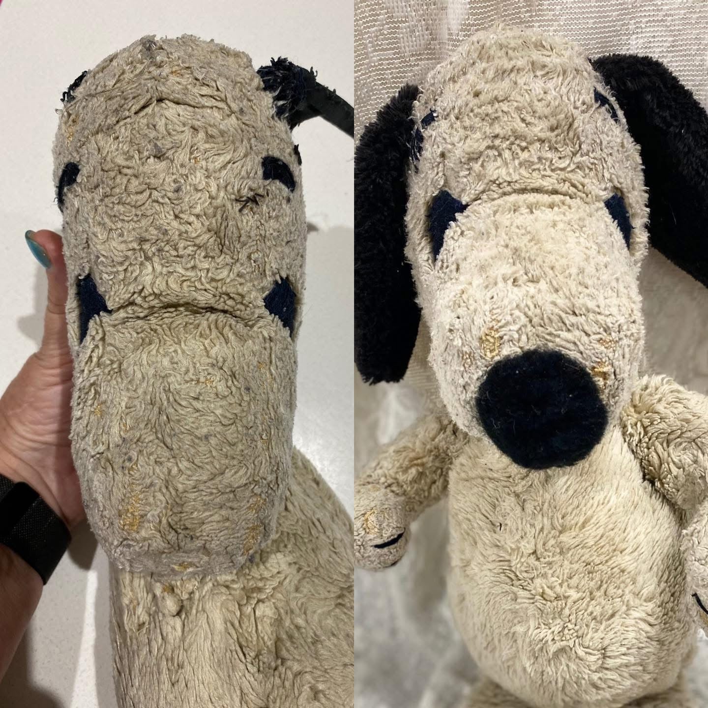 Teddy Bear Hospital