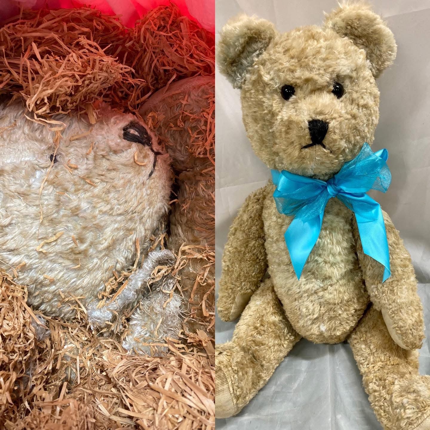 Teddy Bear Hospital